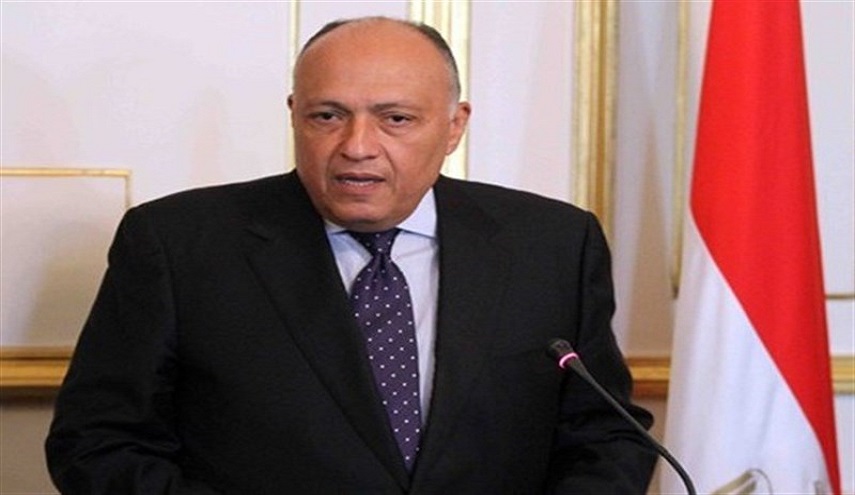  وزير الخارجية المصري يؤكد رفض بلاده تهجير الفلسطينيين من قطاع غزة وتصفية القضية الفلسطينية 